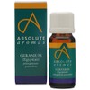 1 Pack of Absolute Aromas Geranium Egyptian Oil 10 ML