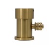 Ionfaucet Enagic Kangen Ionizer Faucet Simple Lines brass gold