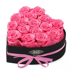 Agrul Roses Gifts for Her,Forever Preserved Flowers Roses in a Heart Shape Box,Anniversary Birthday Gifts for Wife Women Mom Best Friend Girlfriend/16Pcs Pink Roses