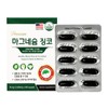 I&U Networks Premium magnesium, ginkgo, ginkgo leaf extract, flavonol extract, vitamin B E, memory improvement / 프리미엄 마그네슘 징코 은행잎추출물 플로보놀추출물 비타민B E함유 기억력개선