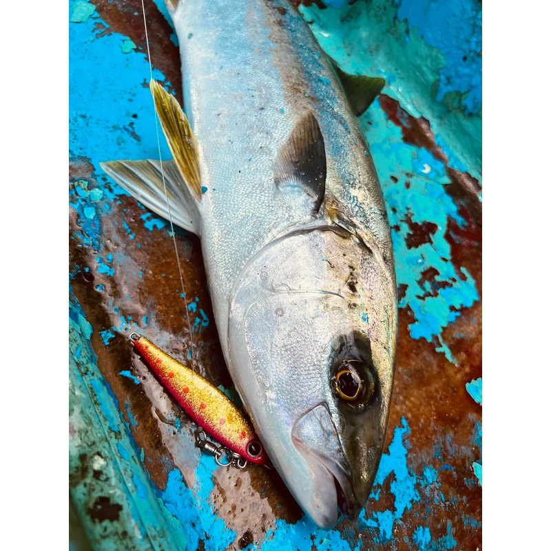 Nature Boys SwichRiderZn Switch Rider Zn40g My Eagle