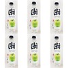 Green Apple Sparkling Water, Zero Sugar, Zero Calories, 480mL, 6-Pack