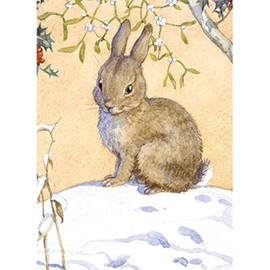 Museums & Galleries Pack of 8 Artistic Charity Christmas Cards (MG-288888-XAB) From Cute Bunny in the Snow by Margaret Tarrant - 8 Cards of 1 Design