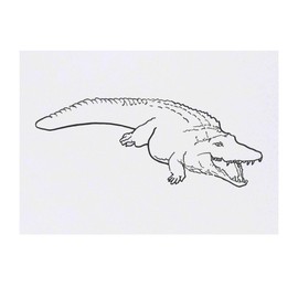 'Crocodile' Temporary Tattoo - Water Resistant, Skin-Safe, Non-Toxic Transfer (TO00069243)