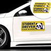 Student Driver Please Be Patient Car Magnet, Yellow Panda Series