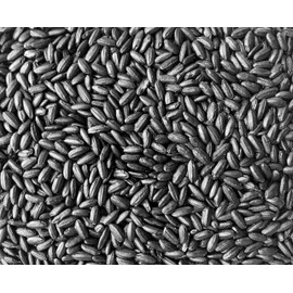 Emperor's Black Rice - Non-GMO, Whole Grain, Vegan - Rich in Protein and Fiber, All Natural (5 Pounds)