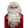 WIG ME UP - 46-A+B-ZA613 Wig and Beard Set Deluxe