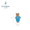 Orange Tree OTT26101 Peter Rabbit Wooden Character