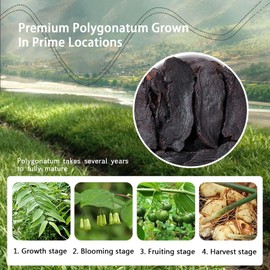 Hee Creek Rhizoma Polygonatum HuangJing 8.5oz/240g Chinese Solomon's Seal Wild Rhizoma Polygonati, No Additives, No Bleaching, Sulfur Free, Natural And Healthy 特级黄精 黄精茶