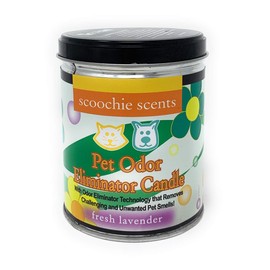 All Natural Soy Wax Pet Odor Eliminator Candle - Non Toxic Long Lasting (100 Hours Burn Time) Freshly Scented Pet House Candle - Safe Tin Jar - Made in USA - 13 Ounces (Fresh Lavender)