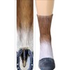 Tiaronics 3D Socks Unisex Adult Animal Paw Crew Socks -