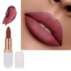 AQUAPURITY PHOERA ABSOLUTE VELVET MATTE LIPSTICK LONG LASTING WATERPROOF PIGMENT