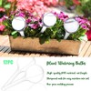 12 Pack Plant Watering Globes Automatic Watering Globes Plant Self