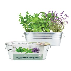 BUZZY Seeds Margarita & Mojito Windowsill Garden Grow Kit | Herb, Plant, Flower Starter Kit for Kids & Adults | Guaranteed to Grow | Best Indoor Grow Your Own Plant Gardening Gift