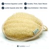 Hydréa London Organic Egyptian Loofah Luxury Exfoliating Body Pad Natural
