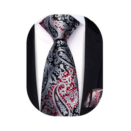 Hi-Tie Boys Black Red Silver Ties Self Tie Silk Striped Kids Necktie and Pocket Square Set Paisley Boys Tie for Age 8-11