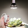 Hanging Light Socket with Cord - Extension Hanging Lantern Cord