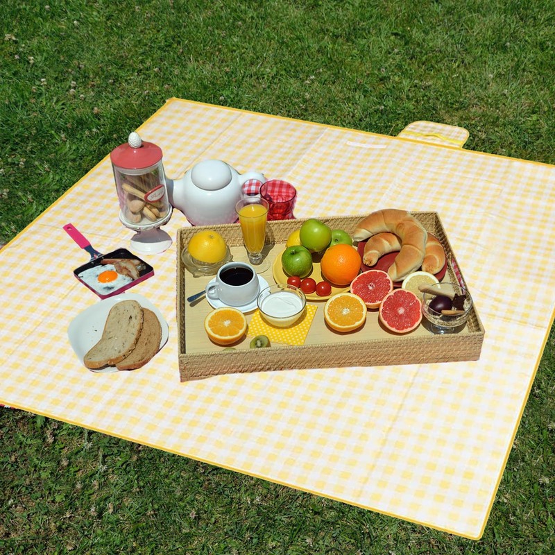 Katslyn Picnic Waterproof 200 X 300cm Extra Large Picnic Mat