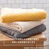 OKA Ag+ Silver Power Antibacterial Towel, Approx. 13.4 x 30.3
