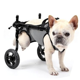 BECROWM - Silla de ruedas para perros para patas traseras, carrito de ruedas ligero para perros con patas traseras para discapacitados, a...