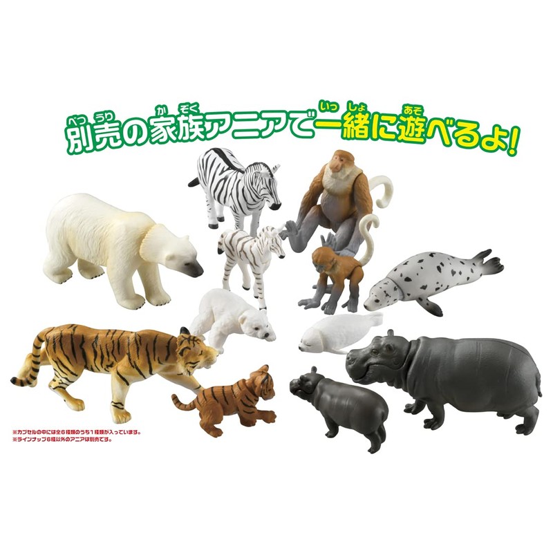 Ania Gachatto Korokoro Capsule 2 Box