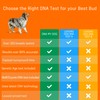 DNA MY DOG - Premium Test – Trusted & Affordable