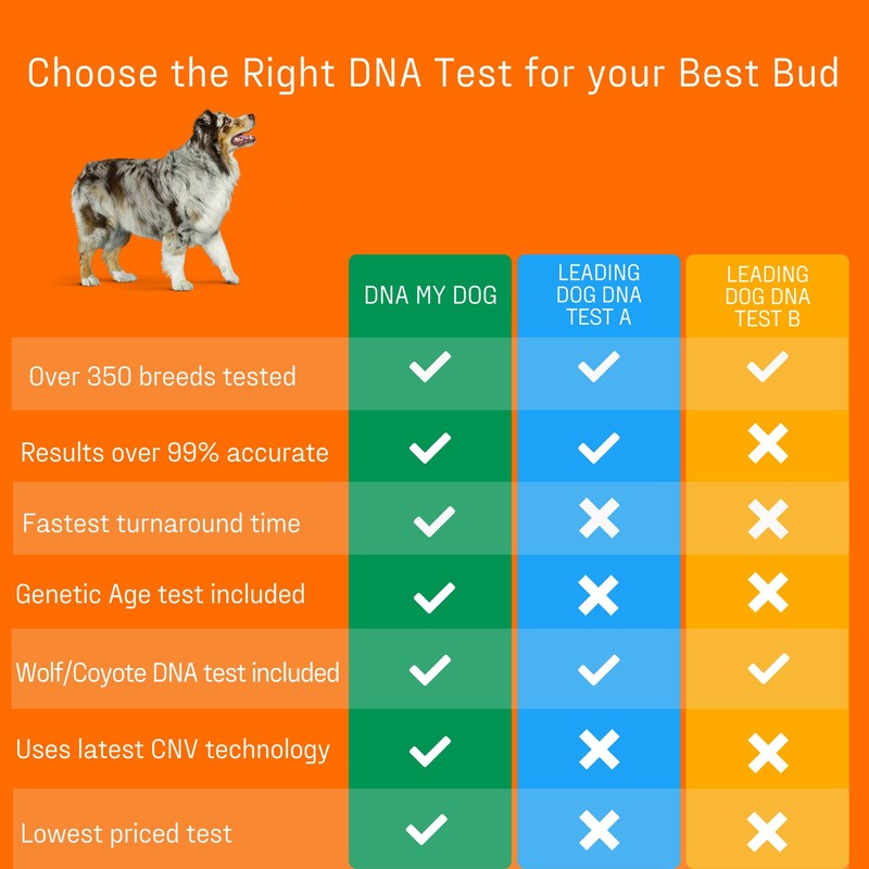 DNA MY DOG - Premium Test – Trusted & Affordable