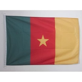 Cameroon NAUTICAL Flag 18'' x 12'' - Cameroonian flags 30 x 45 cm - Banner 12x18 in for boat - Drapeau Cameroun AZ FLAG