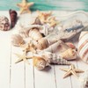 Tiny Mixed Ocean Beach Spiral Seashells &10 Small Starfish -
