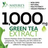 Green Tea Extract Capsules 1000mg 98% Standardized EGCG - 3X