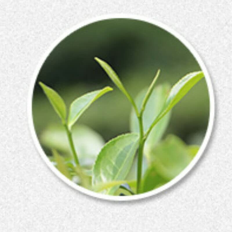 100g Fuding White Tea Traditional Craft Tea Organic Date Fragrant