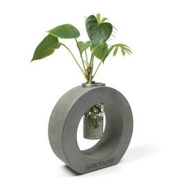 Greenology GR-131 (SMALL) Mini Vase Flower Base Test Tube, 1.6 x 4.8 x 4.8 inches (4 x 12.3 x 12.1 cm)
