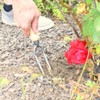 4betterdays.com NATURlich leben! Rose Fork / Garden Fork with Ash