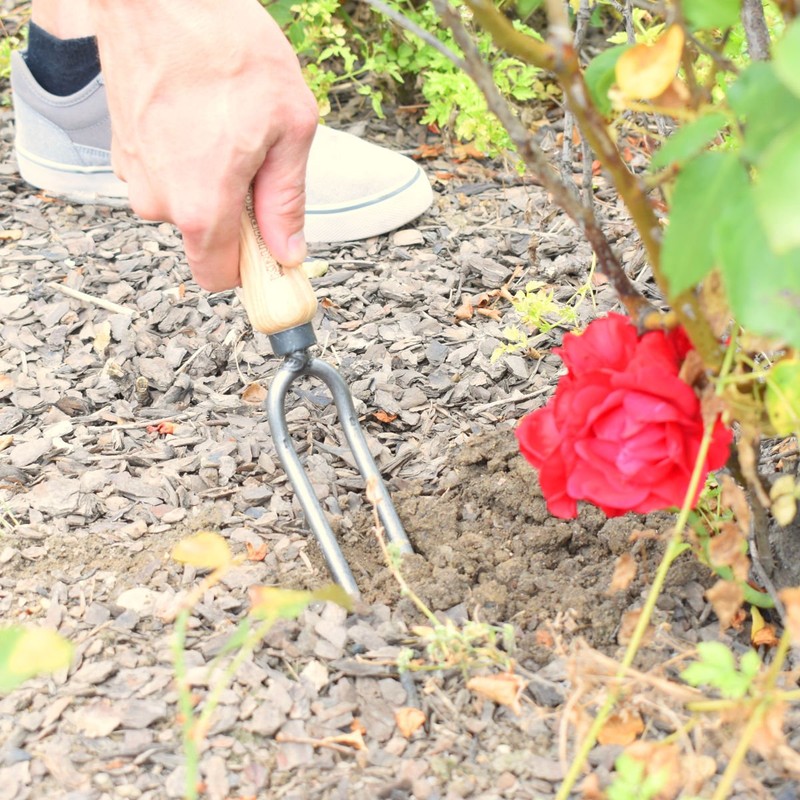 4betterdays.com NATURlich leben! Rose Fork / Garden Fork with Ash
