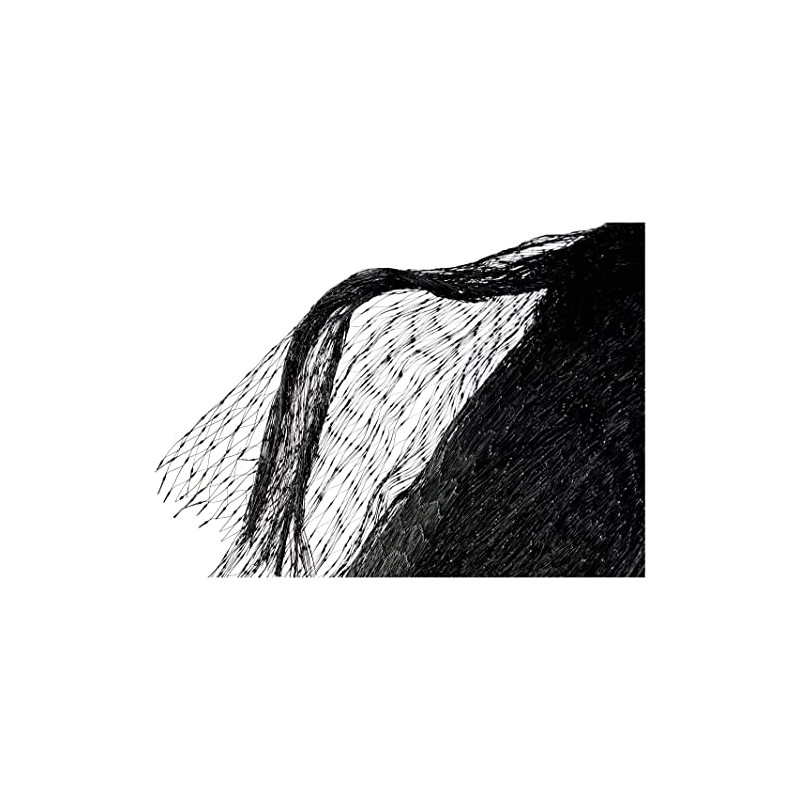 Vilmorin Terlia Bird Netting (5 m x 10 m)