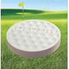 IZZO Golf Flatball Swing Golf Training Aid, White