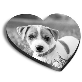 1 x Heart MDF Magnets - Jack Russell Terrier Puppy Dog 36796