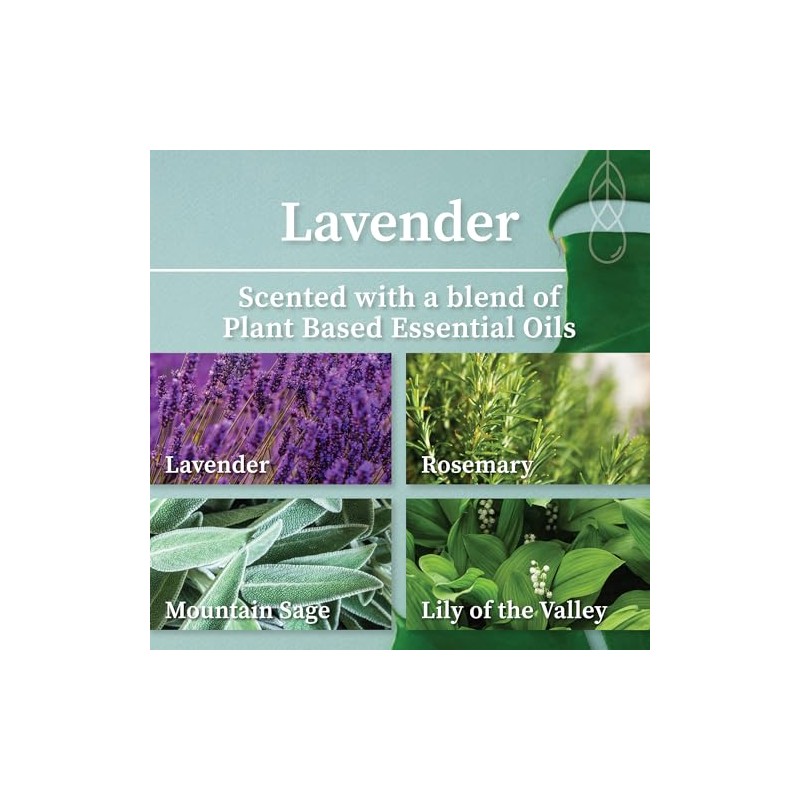 White Sage Cleansing Smudge Spray | Smokeless Smudging Alternative (Lavender