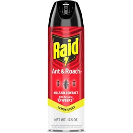 Raid Ant & Roach Killer Spray For Listed Bugs, Keeps Killing for Weeks, Lemon