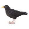 MAISONICA Black Bird Lifelike Ornament Statue Garden Outdoor Indoor H12cm
