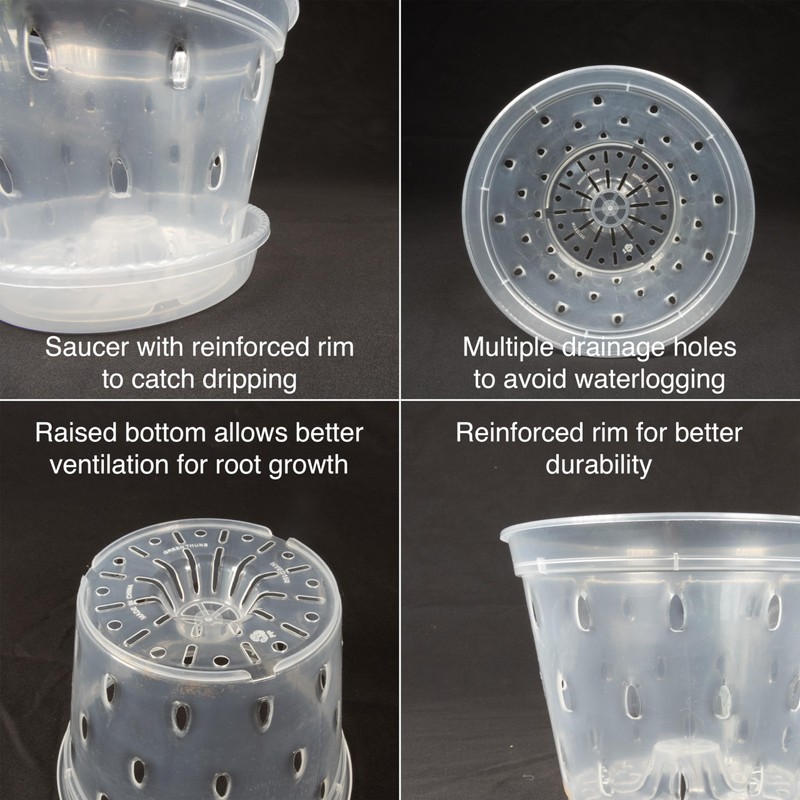 Greenology 16cm / 6" Pack of 5 Orchid Flower Pots