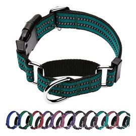 Hikiko Martingale Dog Collars Reflective Nylon Dog Collar with Quick Release Buckle Adjustable Training No Slip Dog Collar (Large, Dark Green)