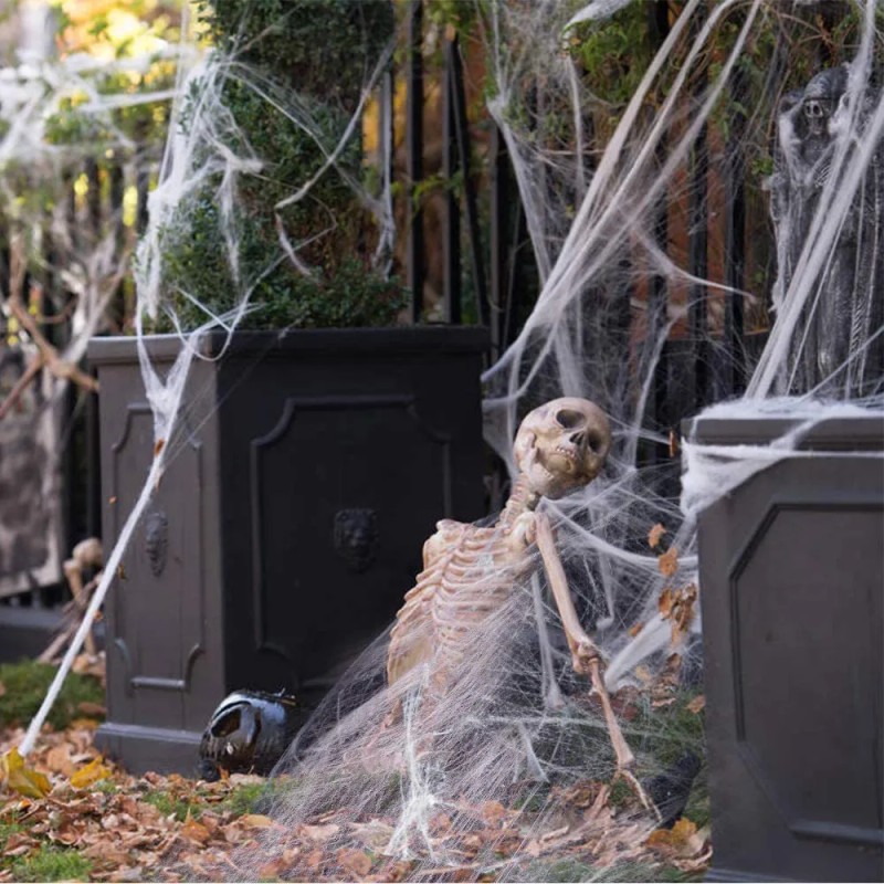 Telaraña Y Plástico Araña Halloween Decoración Dia De Muerto