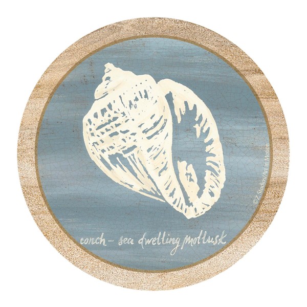 Thirstystone Drink Coaster Set, Imperial Conch