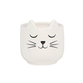 Sass & Belle Mini Cat's Whiskers White Planter