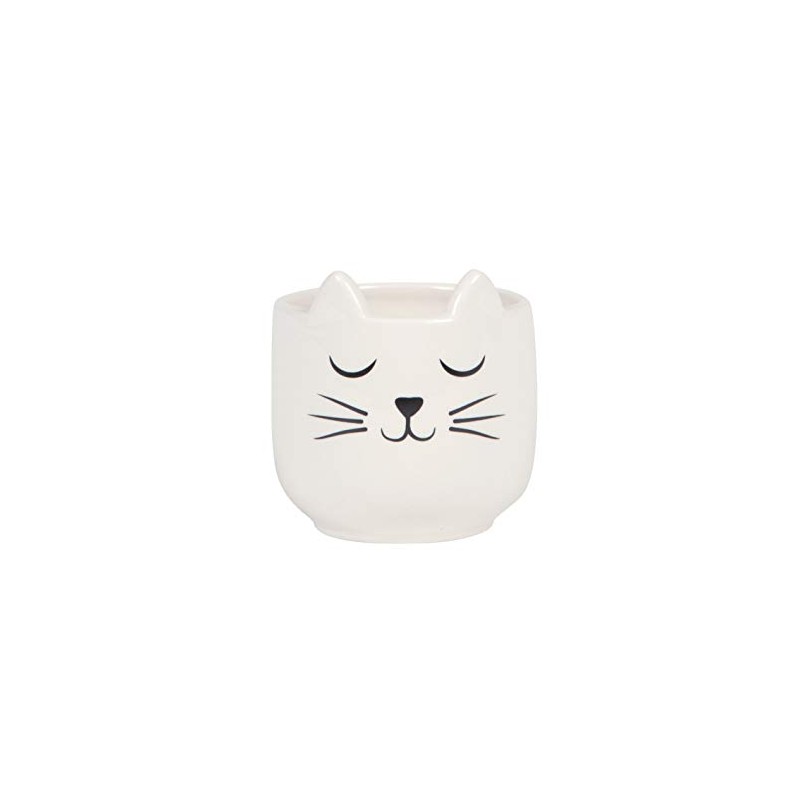 Sass & Belle Mini Cat's Whiskers White Planter