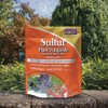 Bonide Sulfur Plant Fungicide, 4 lb. Ready-to-Use Micronized Spray or