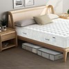 DAWNTREES 2 Pack Under Bed Storage Bags,Large Clear Plastic StorageBoxes,Underbed