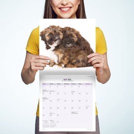 Magnet & Steel Lhasa Apso Modern 2022 Calendar