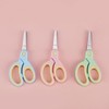 3Pcs 5 Inch Small Craft Scissors, Blunt Tip All Purpose